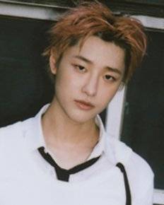 최근 등록된 아이돌